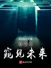 我可以窥见未来章节列表
