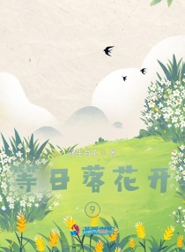 等日落花开9章节列表