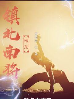 镇北南将林东章节列表