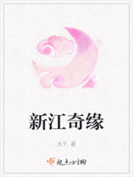新江奇缘章节列表