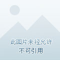英雄联盟之最强选手章节列表