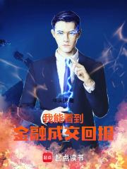 我能看到金融成交回报章节列表