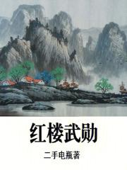 红楼武勋章节列表