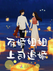 不婚姐姐，上司追婚章节列表