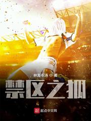 禁区之狐章节列表