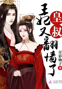 皇叔，王妃又翻墙了章节列表