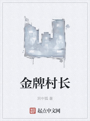 金牌村长章节列表