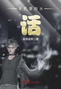 手机里的大话章节列表